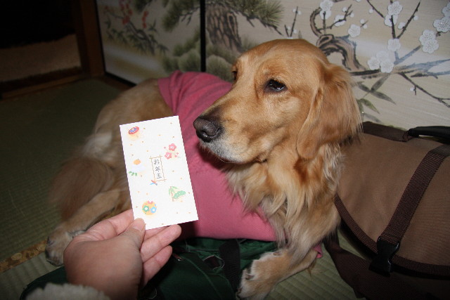 ファイル 533-3.jpg