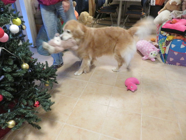 ファイル 5330-1.jpg