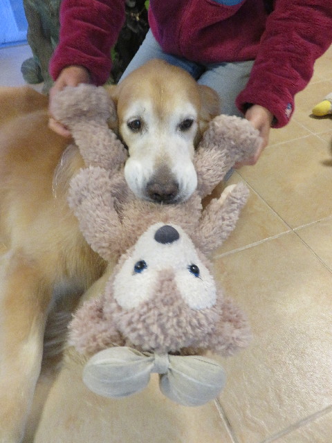 ファイル 5330-3.jpg