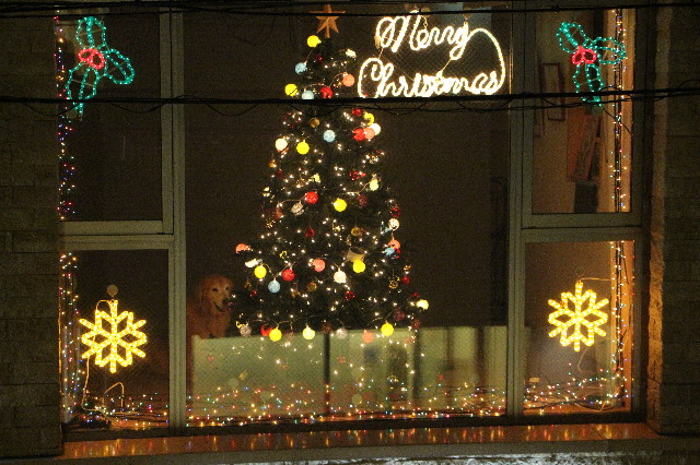 ファイル 5333-4.jpg