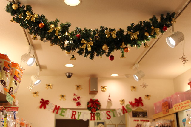 ファイル 5334-2.jpg