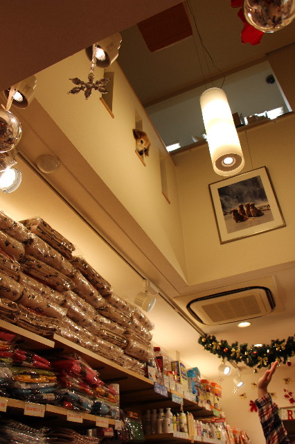 ファイル 5334-4.jpg