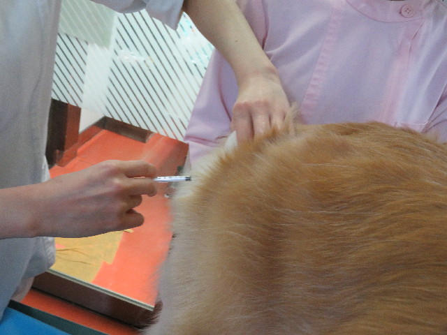 ファイル 5335-4.jpg