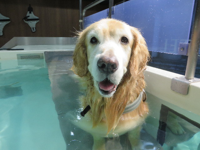 ファイル 5336-1.jpg