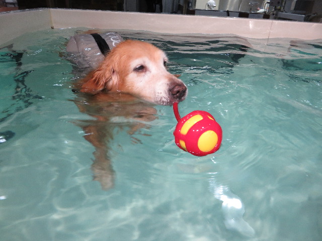 ファイル 5336-3.jpg