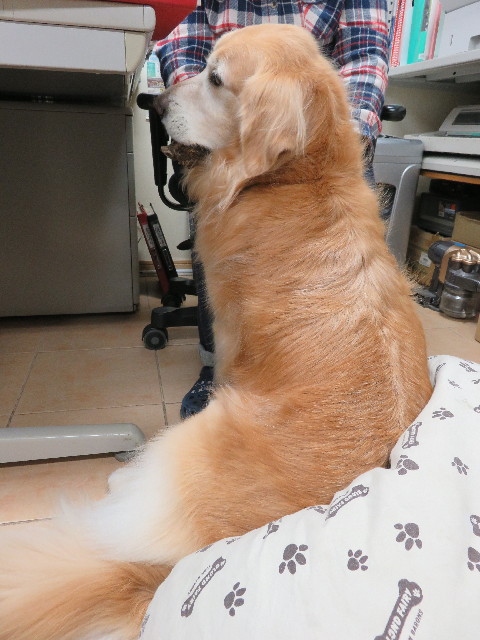 ファイル 5337-4.jpg