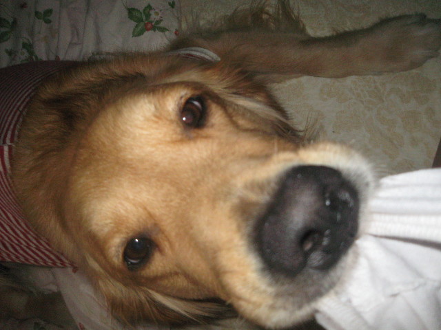 ファイル 534-1.jpg