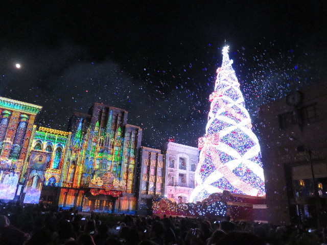 ファイル 5341-1.jpg