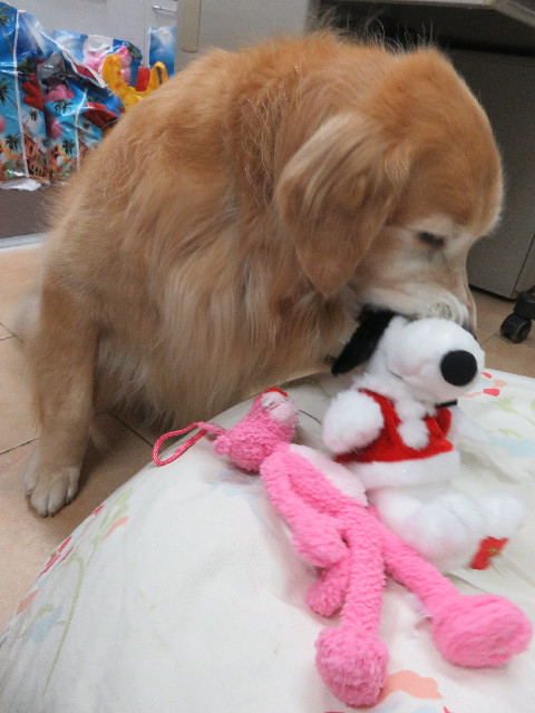 ファイル 5344-4.jpg