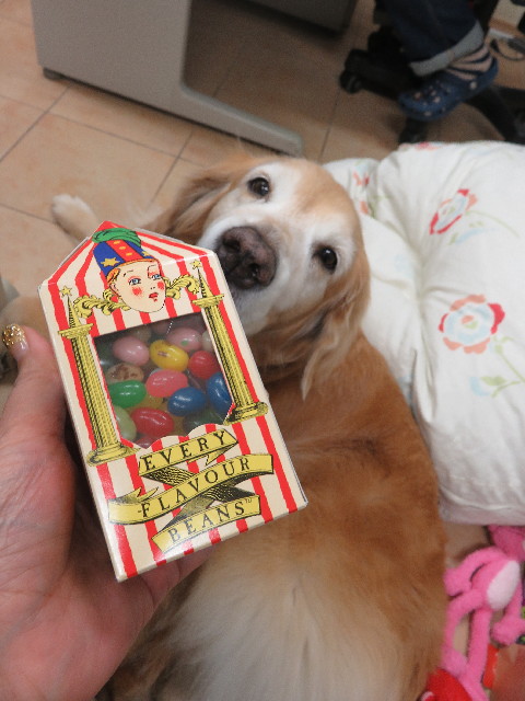 ファイル 5345-1.jpg