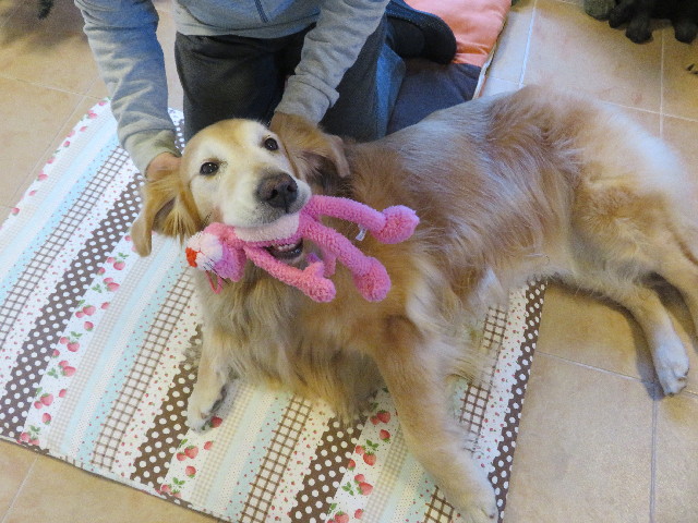 ファイル 5345-4.jpg