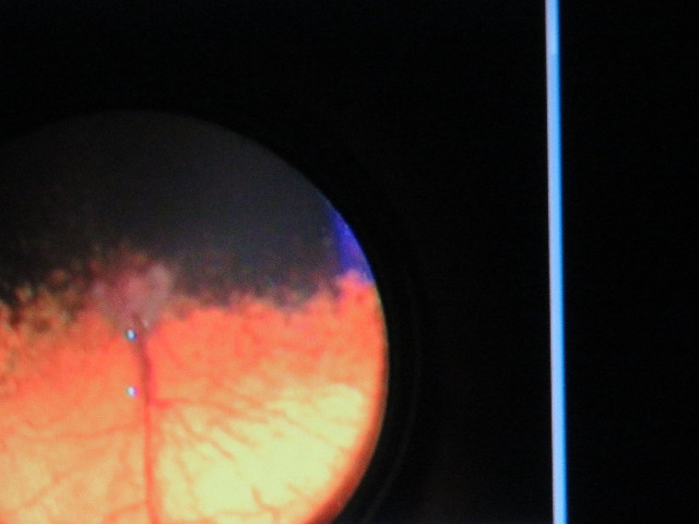 ファイル 5346-2.jpg