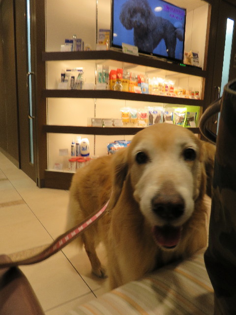 ファイル 5346-3.jpg