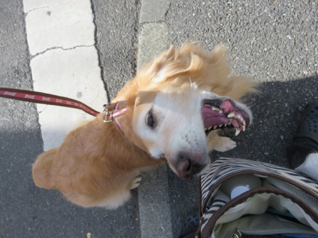 ファイル 5348-1.jpg