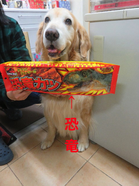 ファイル 5348-2.jpg