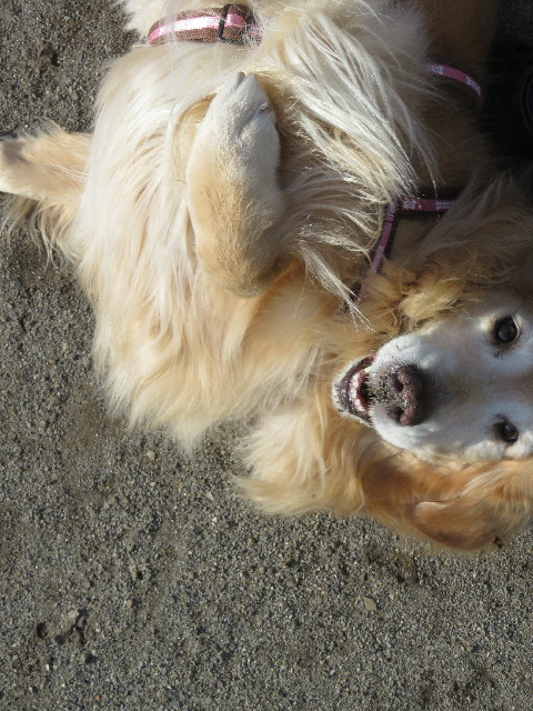 ファイル 5348-4.jpg