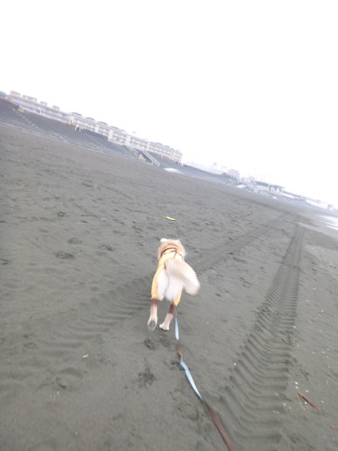 ファイル 5354-2.jpg