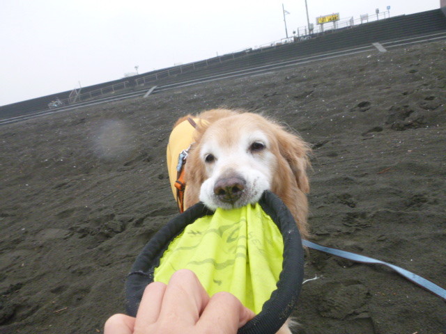 ファイル 5354-5.jpg