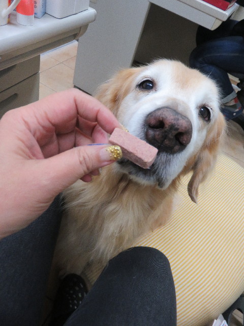 ファイル 5355-1.jpg