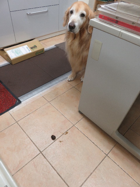 ファイル 5355-2.jpg