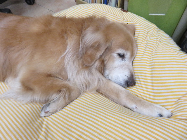 ファイル 5355-3.jpg