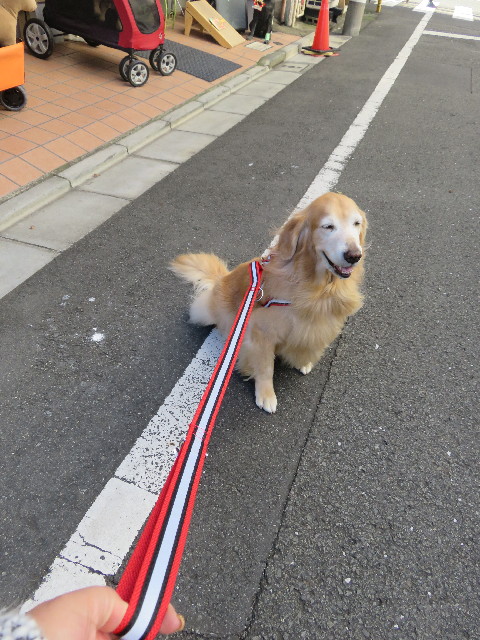 ファイル 5356-2.jpg