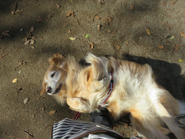 ファイル 5356-3.jpg