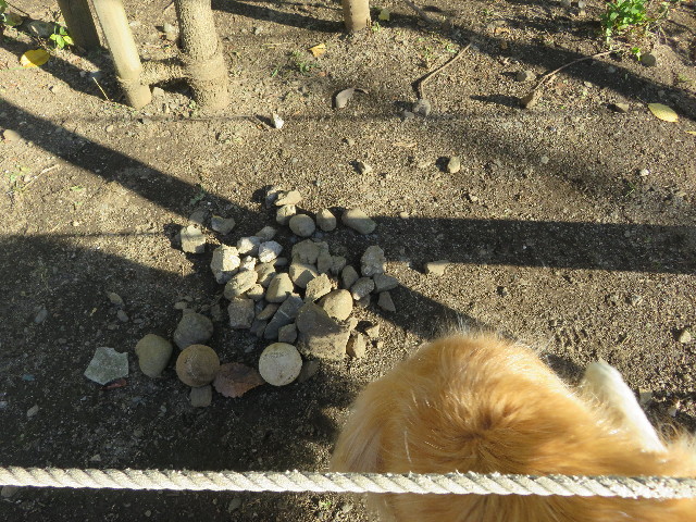 ファイル 5357-1.jpg