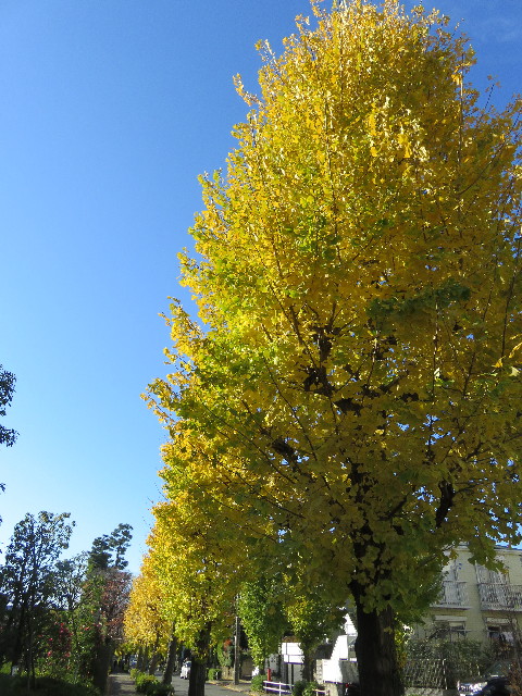 ファイル 5358-1.jpg