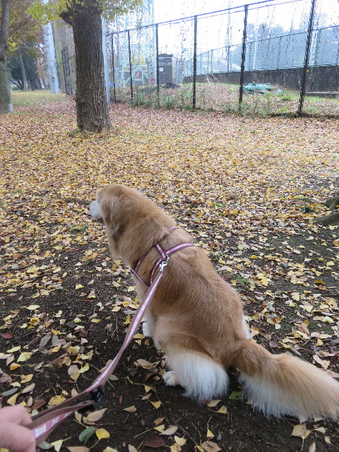 ファイル 5358-5.jpg