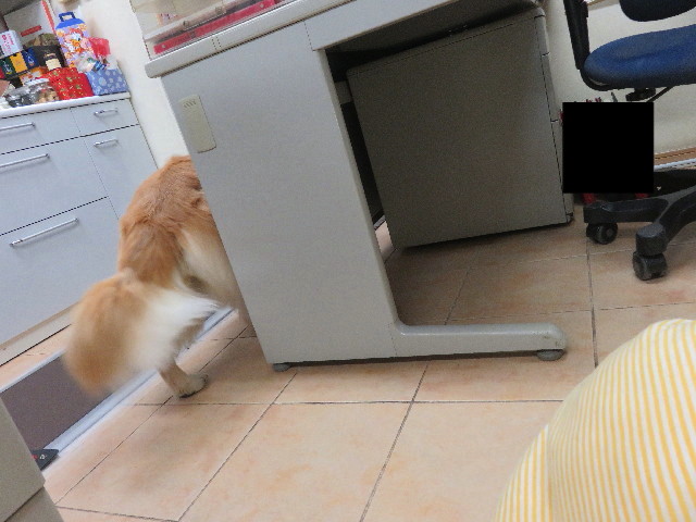 ファイル 5359-3.jpg