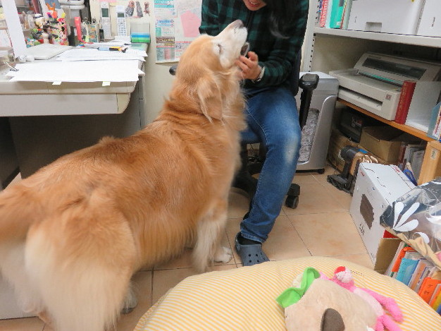 ファイル 5361-2.jpg