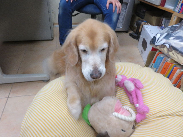 ファイル 5361-3.jpg