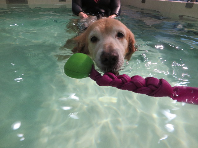 ファイル 5363-2.jpg