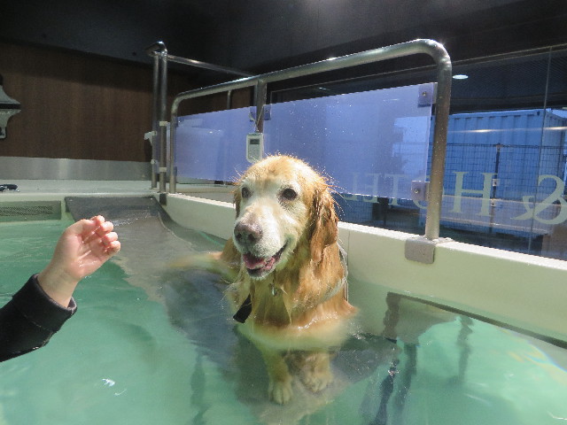 ファイル 5363-4.jpg