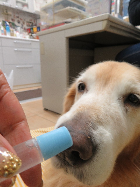 ファイル 5364-4.jpg