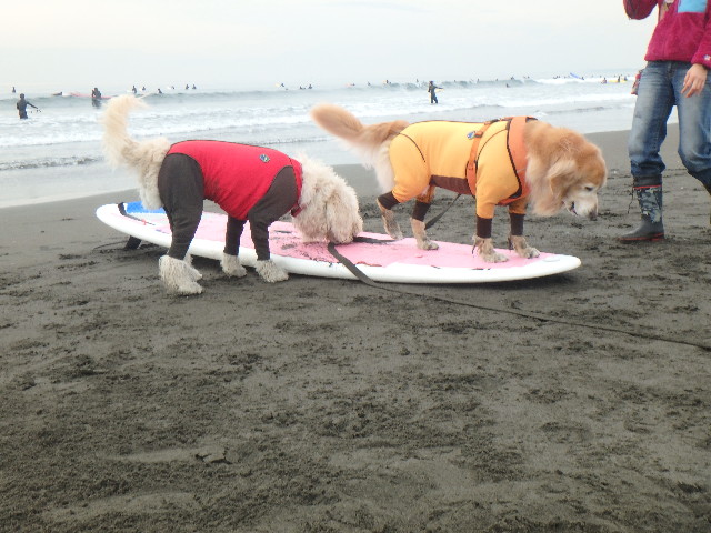 ファイル 5366-2.jpg