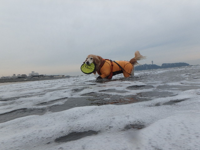 ファイル 5366-3.jpg