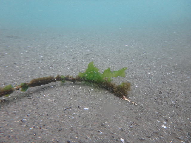 ファイル 5366-5.jpg