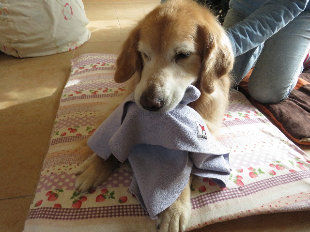 ファイル 5368-5.jpg