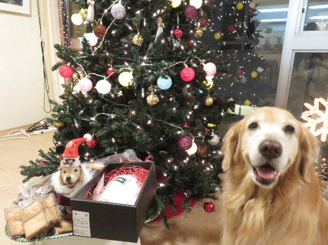 ファイル 5369-2.jpg