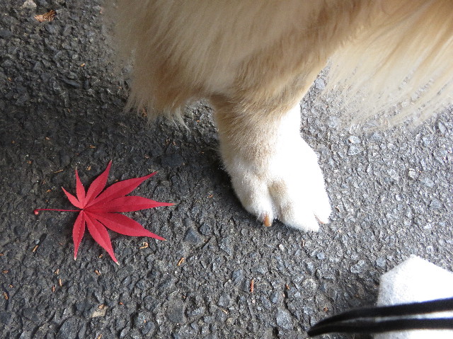 ファイル 5369-4.jpg