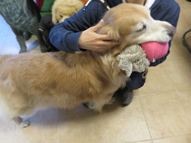 ファイル 5369-5.jpg