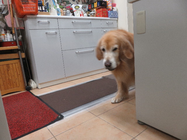 ファイル 5372-3.jpg