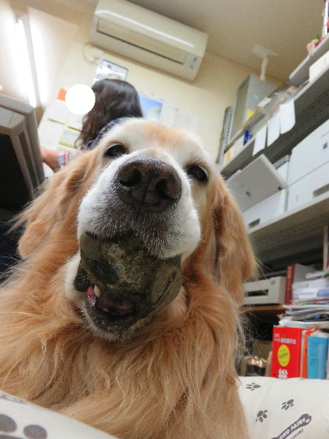 ファイル 5372-4.jpg