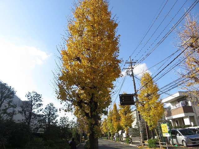 ファイル 5373-3.jpg