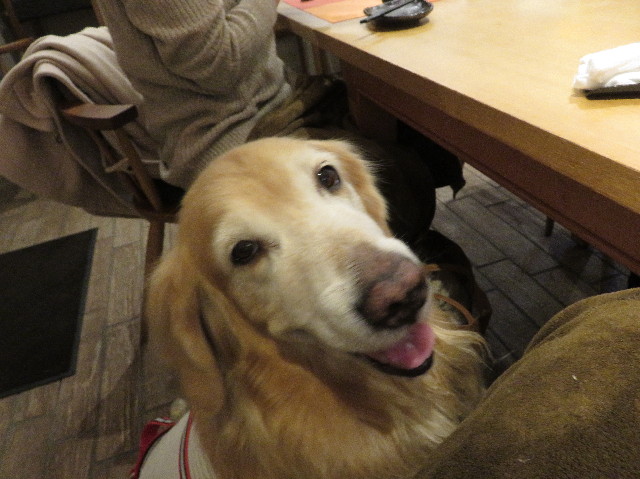 ファイル 5375-5.jpg