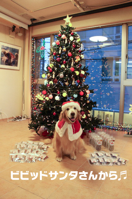 ファイル 5379-3.jpg