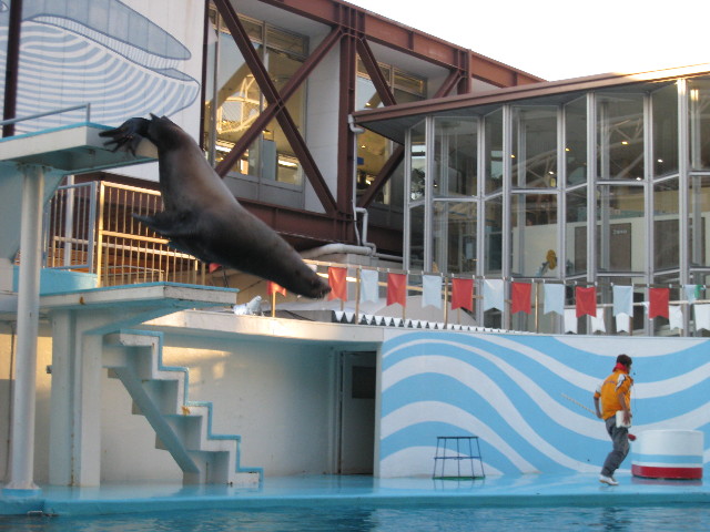 ファイル 538-2.jpg