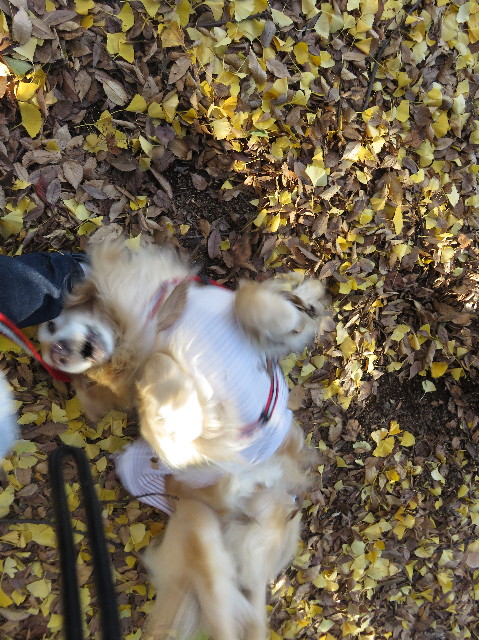 ファイル 5382-3.jpg